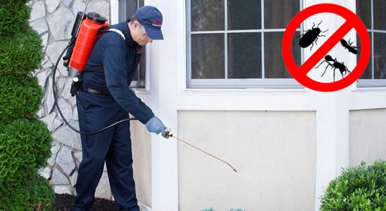 Şehitkamil Fare İlaçlama böcek ilaçlama ve haşere kontrolü — ilaclama-tr.com